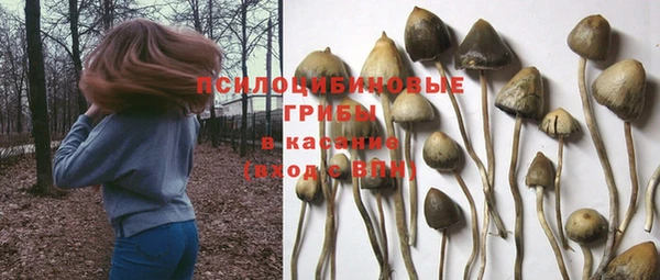 винт Пересвет