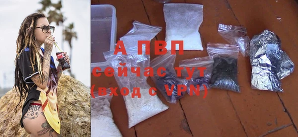 винт Пересвет