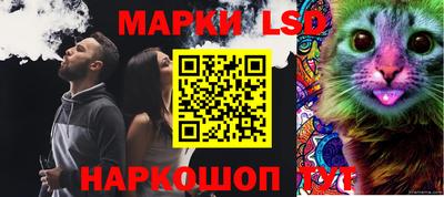 твердый Бийск