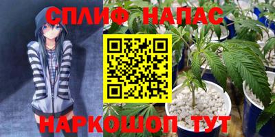 ECSTASY Беслан