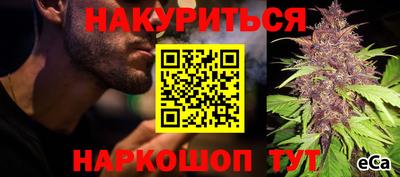 твердый Бийск