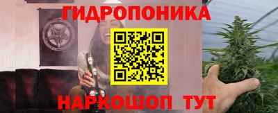 твердый Бийск