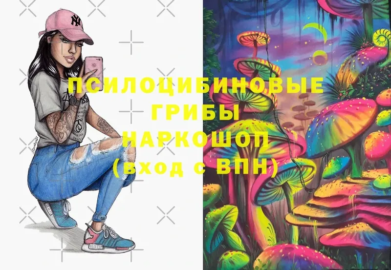 закладка  Бугульма  Псилоцибиновые грибы Magic Shrooms 