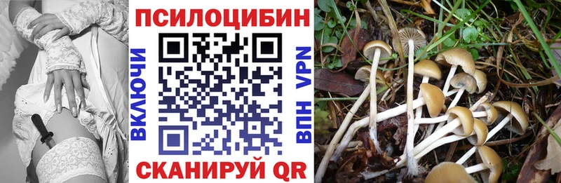 Псилоцибиновые грибы Psilocybine cubensis  дарнет шоп  OMG маркетплейс  Бугульма 