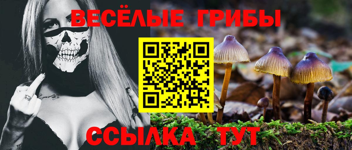 Псилоцибиновые грибы ЛСД  Вход с VPN  Бугульма 